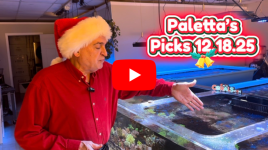 Untitled design(158).png