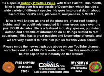 Screenshot 2025-12-18 at 1.19.39 PM.png