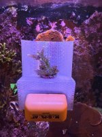 WWC Yellow Tip big frag1.JPEG