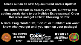 Screenshot 2025-12-19 at 2.51.27 PM.png