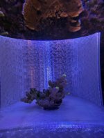 WWC yellow tip (2).JPEG