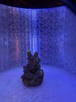 WWC yellow tip (5).JPEG