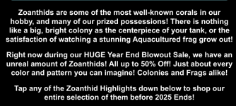 Screenshot 2025-12-27 at 1.33.49 PM.png