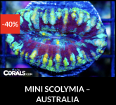 Screenshot 2025-12-28 at 9.50.19 AM.png