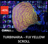 Screenshot 2025-12-28 at 9.50.58 AM.png