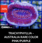 Screenshot 2025-12-28 at 9.51.05 AM.png