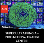 Screenshot 2025-12-28 at 9.51.17 AM.png