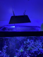 Ecotech Shade XR15 (3).JPEG