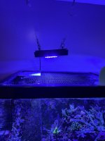 Ecotech Shade XR15 (4).JPEG