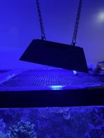 Ecotech Shade XR15 (5).JPEG