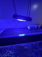 Ecotech Shade XR15 (6).JPEG