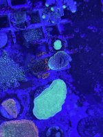 RRC Pink Cadillac Frag  from Top.JPEG