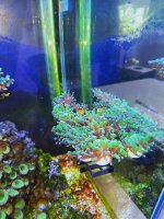 WhatsApp Image 2026-01-02 at 12.42.01 PM32.jpeg