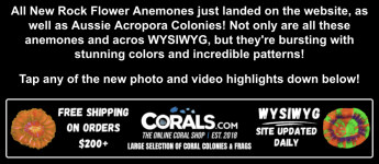 Screenshot 2026-01-09 at 1.07.32 PM.png