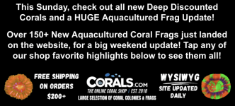 Screenshot 2026-01-09 at 2.10.01 PM.png