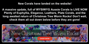 Screenshot 2026-01-13 at 1.32.57 PM.png