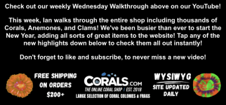 Screenshot 2026-01-14 at 11.43.03 AM.png