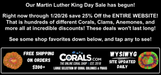 Screenshot 2026-01-16 at 12.02.51 PM.png