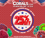 MLK Day Sale 26'.png