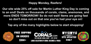 Screenshot 2026-01-19 at 10.24.04 AM.png