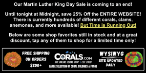 Screenshot 2026-01-20 at 2.37.20 PM.png