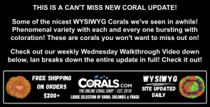 Screenshot 2026-01-21 at 12.37.36 PM.png