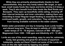 Screenshot 2026-01-23 at 1.59.08 PM.png