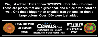 Screenshot 2026-01-23 at 3.14.13 PM.png