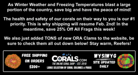 Screenshot 2026-01-26 at 2.39.31 PM.png