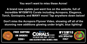 Screenshot 2026-01-29 at 2.24.25 PM.png