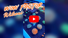 WOW FACTOR.png