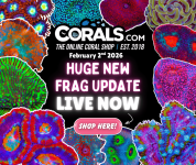 2.2 new coral.png