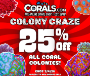 colony craze 2026.png