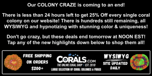 Screenshot 2026-02-03 at 12.02.24 PM.png