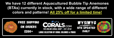 Screenshot 2026-02-05 at 1.57.09 PM.png