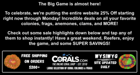 Screenshot 2026-02-06 at 11.37.39 AM.png