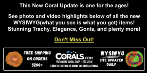 Screenshot 2026-02-10 at 2.40.37 PM.png