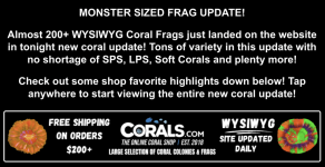 Screenshot 2026-02-12 at 12.43.45 PM.png