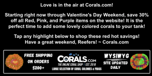 Screenshot 2026-02-13 at 10.42.12 AM.png