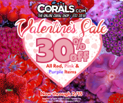 VALENTINES DAY SALE 2026.png