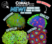 new aquaculture(17).png