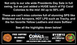 Screenshot 2026-02-17 at 12.18.43 PM.png