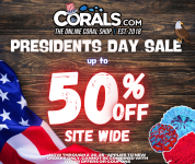 Presidents Day 26.png