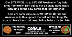 Screenshot 2026-02-19 at 10.49.49 AM.png