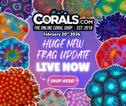 2.20 new coral.png