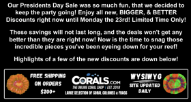 Screenshot 2026-02-20 at 3.02.25 PM.png