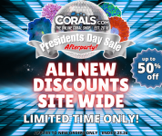 after party pres day.png