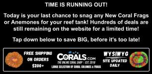 Screenshot 2026-02-24 at 5.03.37 PM.png