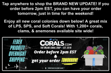 Screenshot 2026-02-25 at 1.12.06 PM.png