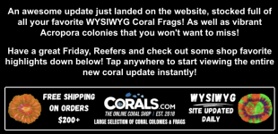 Screenshot 2026-02-25 at 4.41.14 PM.png